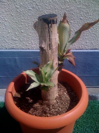 photo35.jpg