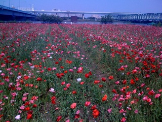 220.jpg